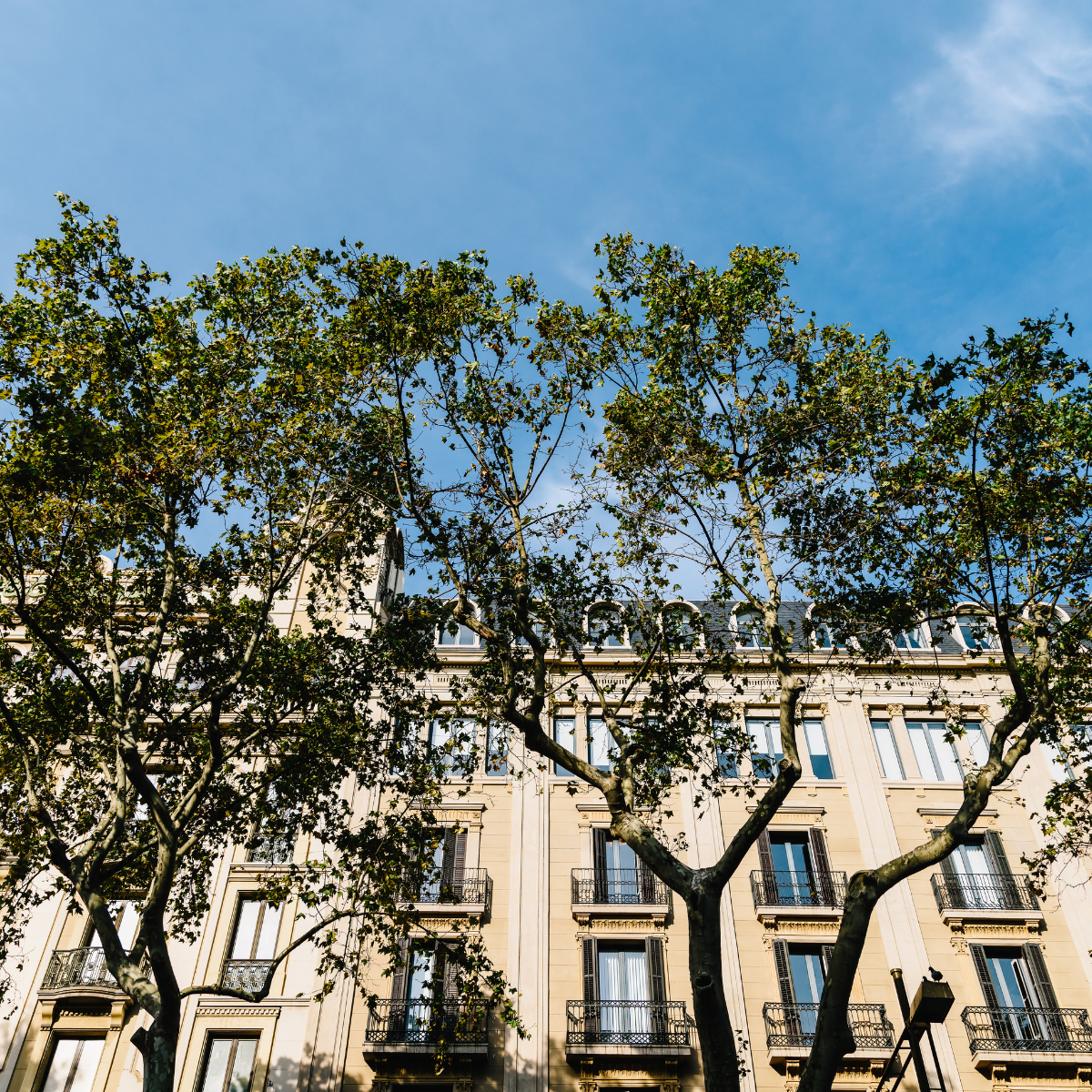 Lattes, une ville où il fait bon investir : l’importance d’un syndic compétent 