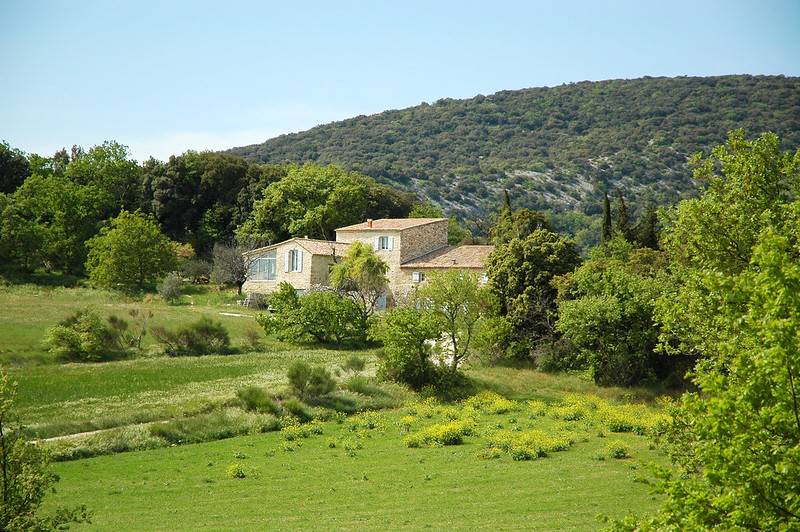 Professionnels de la gestion locative dans l'Hérault